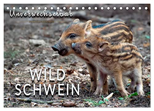 Unverwechselbar - Wildschwein (Tischkalender 2024 DIN A5 quer), CALVENDO Monatskalender von CALVENDO