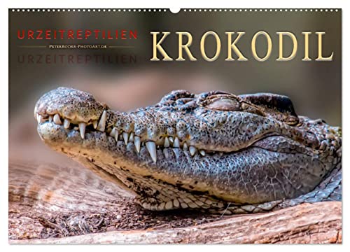 Urzeitreptilien - Krokodil (Wandkalender 2024 DIN A2 quer), CALVENDO Monatskalender