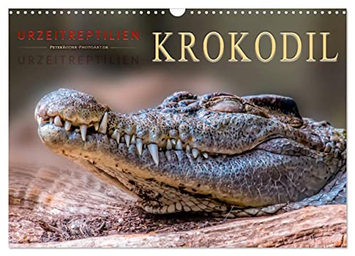 Urzeitreptilien - Krokodil (Wandkalender 2024 DIN A3 quer), CALVENDO Monatskalender