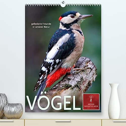 Vögel - gefiederte Freunde in unserer Natur (hochwertiger Premium Wandkalender 2024 DIN A2 hoch), Kunstdruck in Hochglanz