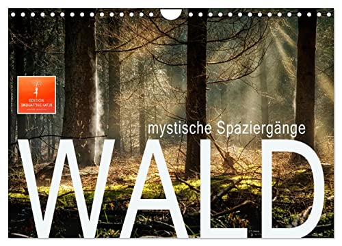 Wald - mystische Spaziergänge (Wandkalender 2025 DIN A4 quer), CALVENDO Monatskalender von CALVENDO