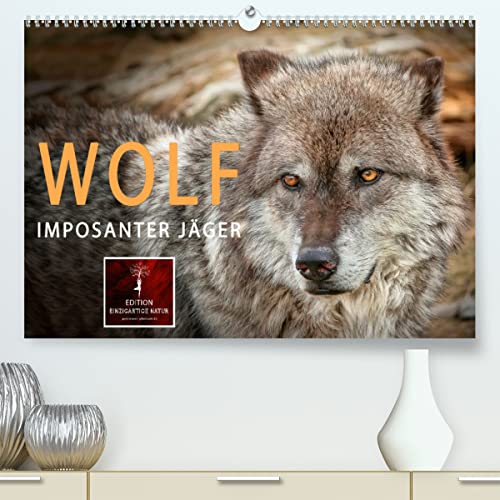 Wolf - Imposanter Jäger (hochwertiger Premium Wandkalender 2024 DIN A2 quer), Kunstdruck in Hochglanz