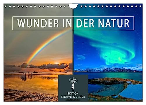 Wunder in der Natur (Wandkalender 2024 DIN A4 quer), CALVENDO Monatskalender