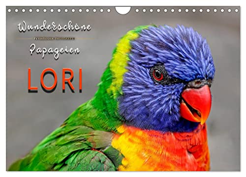 Wunderschöne Papageien - Lori (Wandkalender 2024 DIN A4 quer), CALVENDO Monatskalender von CALVENDO