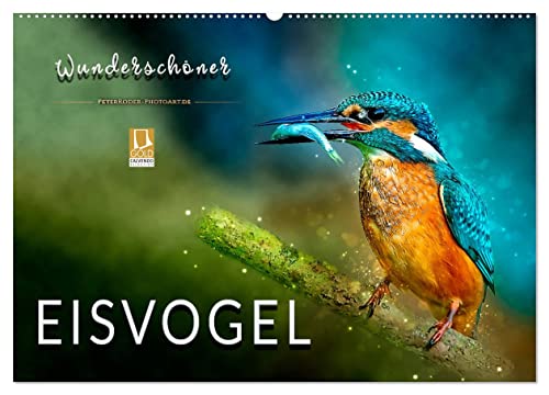 Wunderschöner Eisvogel (Wandkalender 2025 DIN A2 quer), CALVENDO Monatskalender von CALVENDO