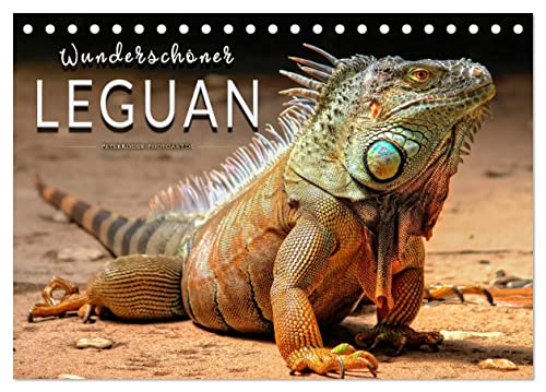 Wunderschöner Leguan (Tischkalender 2024 DIN A5 quer), CALVENDO Monatskalender