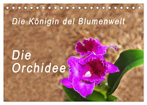 Die Königin der Blumenwelt, die Orchidee (Tischkalender 2024 DIN A5 quer), CALVENDO Monatskalender von CALVENDO