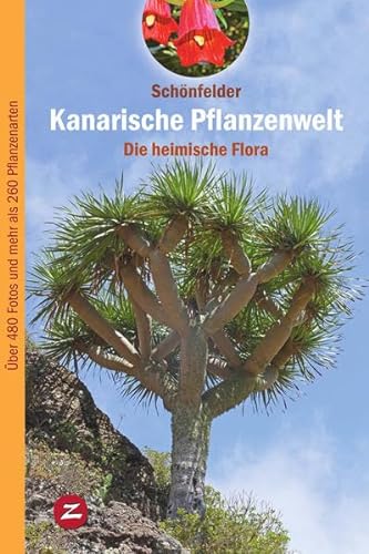 Kanarische Pflanzenwelt: Die heimische Flora (Naturführer)