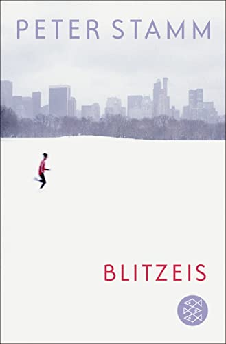 Blitzeis: Erzählungen