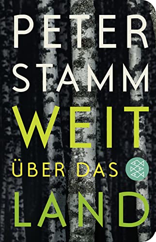 Weit über das Land: Roman