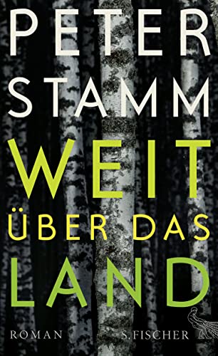 Weit über das Land: Roman