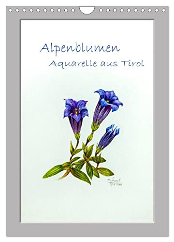 Alpenblumen Aquarelle aus Tirol (Wandkalender 2024 DIN A4 hoch), CALVENDO Monatskalender von CALVENDO