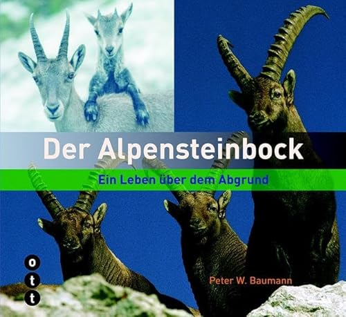 Der Alpensteinbock: Ein Leben über dem Abgrund von ott verlag