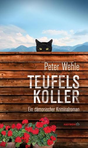 Teufelskoller: Ein dämonischer Kriminalroman (HAYMON TASCHENBUCH)
