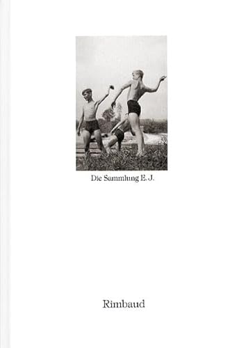 Bibliothek des Blicks / Die Sammlung E. J.: Dt. /Engl. /Franz.