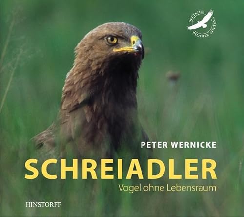 Schreiadler: Vogel ohne Lebensraum von Hinstorff