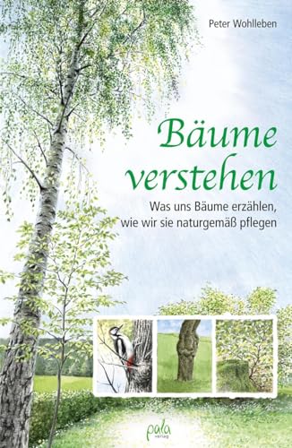 Bäume verstehen: Was uns Bäume erzählen, wie wir sie naturgemäß pflegen von Pala- Verlag GmbH
