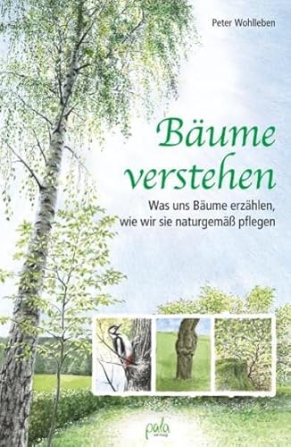 Bäume verstehen: Was uns Bäume erzählen, wie wir sie naturgemäß pflegen Bäume verstehen: Was uns Bäume erzählen, wie wir sie naturgemäß pflegen