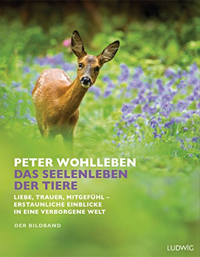 Das Seelenleben der Tiere: Liebe, Trauer, Mitgefühl – erstaunliche Einblicke in eine verborgene Welt. Der Bildband. Mit dem vollständigen Text der Originalausgabe Das Seelenleben der Tiere: Liebe, Trauer, Mitgefühl – erstaunliche Einblicke in eine verborgene Welt. Der Bildband. Mit dem vollständigen Text der Originalausgabe