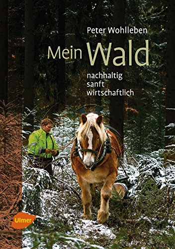 Mein Wald: Nachhaltig, sanft, wirtschaftlich