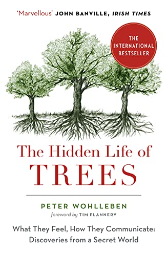 The Hidden Life of Trees: What They Feel, How They Communicate von William Collins