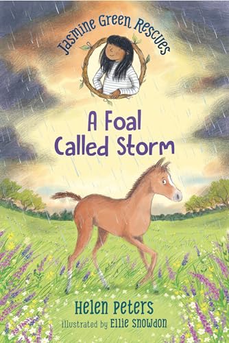 A Foal Called Storm (Jasmine Green Rescues, 8)