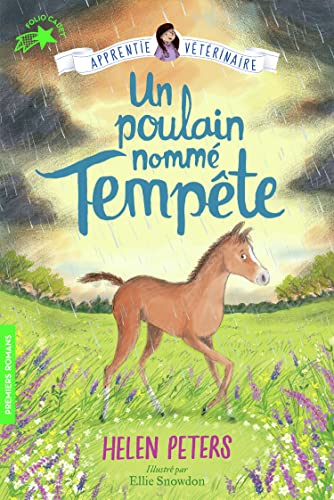 Un poulain nommé Tempête von GALLIMARD JEUNE