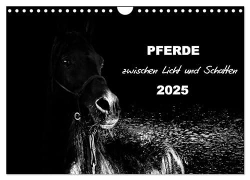 Pferde zwischen Licht und Schatten (Wandkalender 2025 DIN A4 quer), CALVENDO Monatskalender von CALVENDO