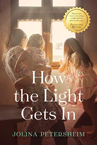 How the Light Gets in von Tyndale House Publishers