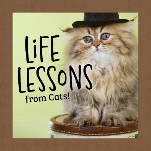 Life Lessons from Cats! (Thinking of You) von Fox Chapel Publishing