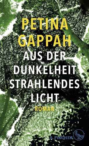 Aus der Dunkelheit strahlendes Licht: Roman