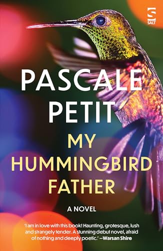 My Hummingbird Father (Salt Modern Fiction)