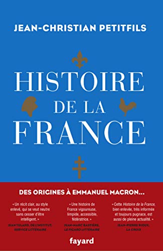 Histoire de la France: Le vrai roman national