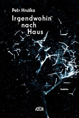 Irgendwohin nach Haus: Gedichte
