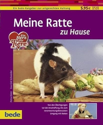 Meine Ratte zu Hause: Von den Überlegungen von der Anschaffung, bis zum verantwortungsbewussten Umgang mit Ratten