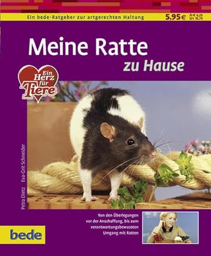 Meine Ratte zu Hause: Von den Überlegungen von der Anschaffung, bis zum verantwortungsbewussten Umgang mit Ratten