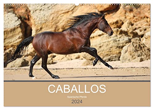 Caballos Spanische Pferde 2024 (Wandkalender 2024 DIN A2 quer), CALVENDO Monatskalender