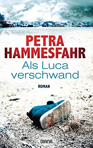 Als Luca verschwand: Roman