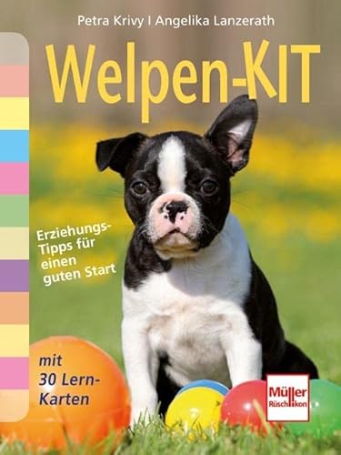 Welpen-Kit: Erziehungs-Tipps für einen guten Start mit 30 Lern-Karten von Mller Rschlikon
