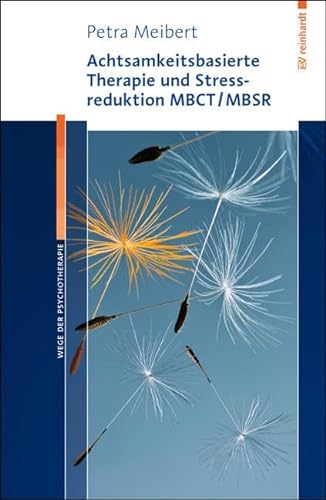 Achtsamkeitsbasierte Therapie und Stressreduktion MBCT/MBSR (Wege der Psychotherapie)