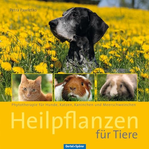 Heilpflanzen für Tiere: Phytotherapie für Hunde, Katzen, Kaninchen und Meerschweinchen