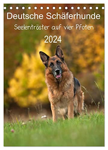 Deutsche Schäferhunde - Seelentröster auf vier Pfoten (Tischkalender 2024 DIN A5 hoch), CALVENDO Monatskalender von CALVENDO