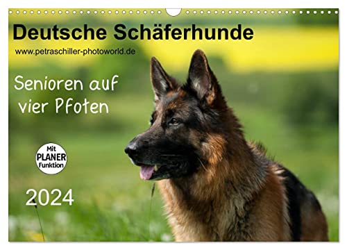 Deutsche Schäferhunde - Senioren auf vier Pfoten (Wandkalender 2024 DIN A3 quer), CALVENDO Monatskalender von CALVENDO