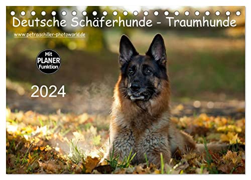 Deutsche Schäferhunde - Traumhunde (Tischkalender 2024 DIN A5 quer), CALVENDO Monatskalender von CALVENDO
