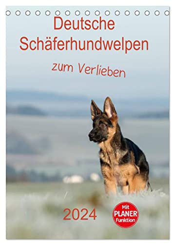 Deutsche Schäferhundwelpen zum Verlieben (Tischkalender 2024 DIN A5 hoch), CALVENDO Monatskalender von CALVENDO