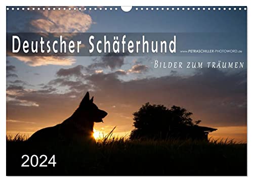Deutscher Schäferhund/CH-Version (Wandkalender 2024 DIN A3 quer), CALVENDO Monatskalender
