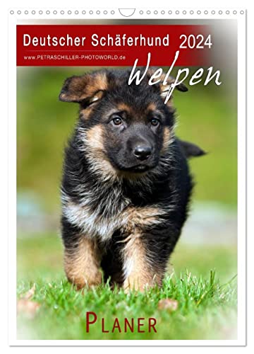 Deutscher Schäferhund - Welpen, Planer (Wandkalender 2024 DIN A3 hoch), CALVENDO Monatskalender