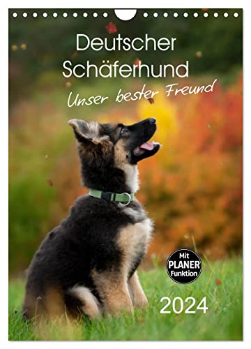 Deutscher Schäferhund - unser bester Freund (Wandkalender 2024 DIN A4 hoch), CALVENDO Monatskalender von CALVENDO