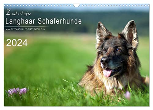 Zauberhafte Langhaar Schäferhunde (Wandkalender 2024 DIN A3 quer), CALVENDO Monatskalender