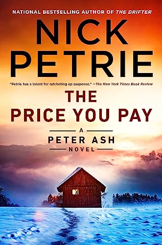 The Price You Pay (A Peter Ash Novel, Band 8)